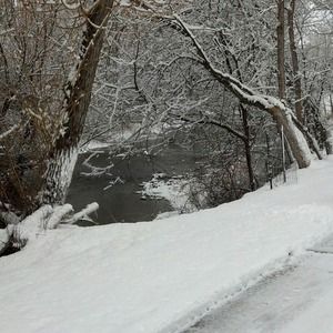 Meet your Posher, Anita